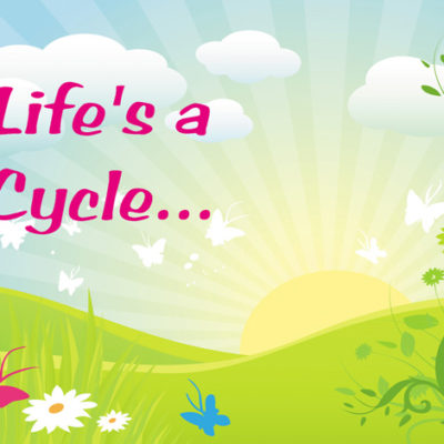 Life's a Cycle