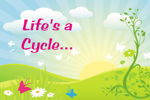 Life's a Cycle