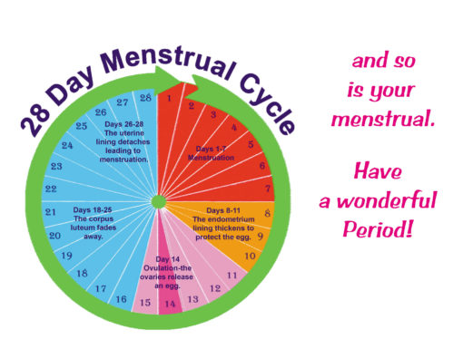 Life's a Cycle - Image 2
